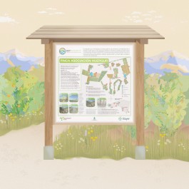 bayer finca baydiversity 